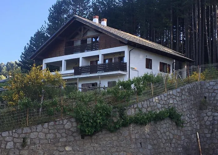 Tra Il Bosco E Il Lago