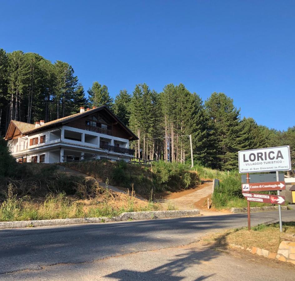 Tra Il Bosco E Il
