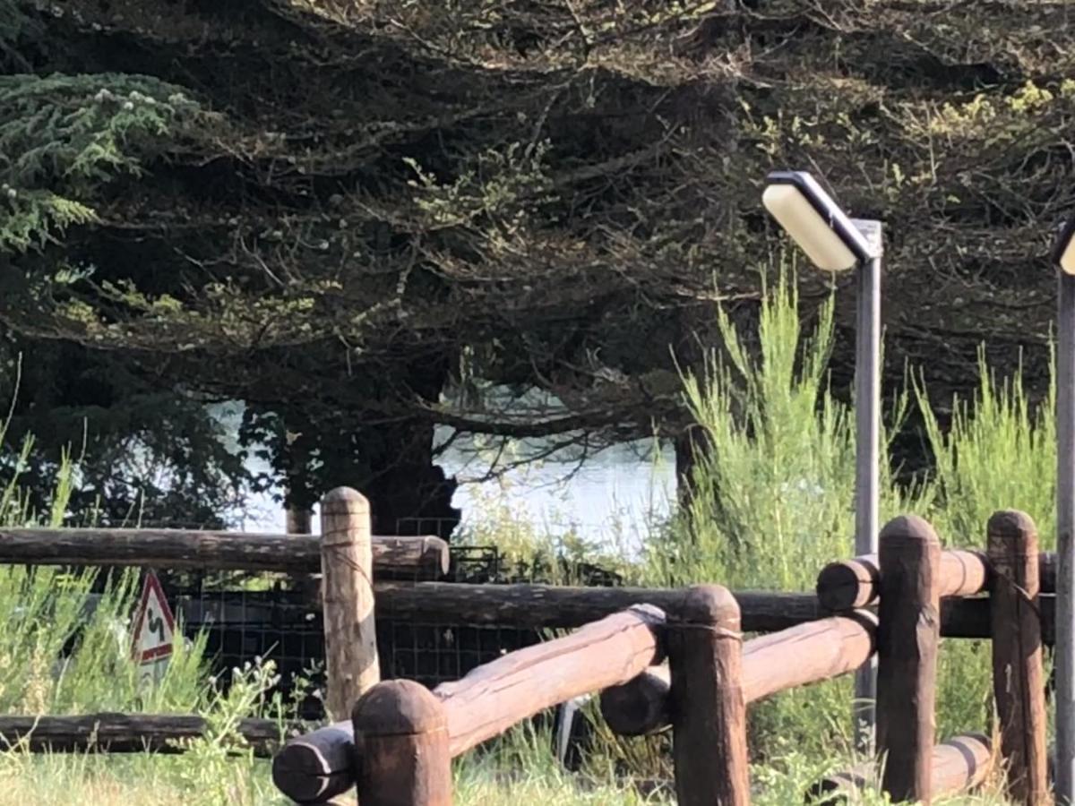 Tra Il Bosco E Il Holiday home *