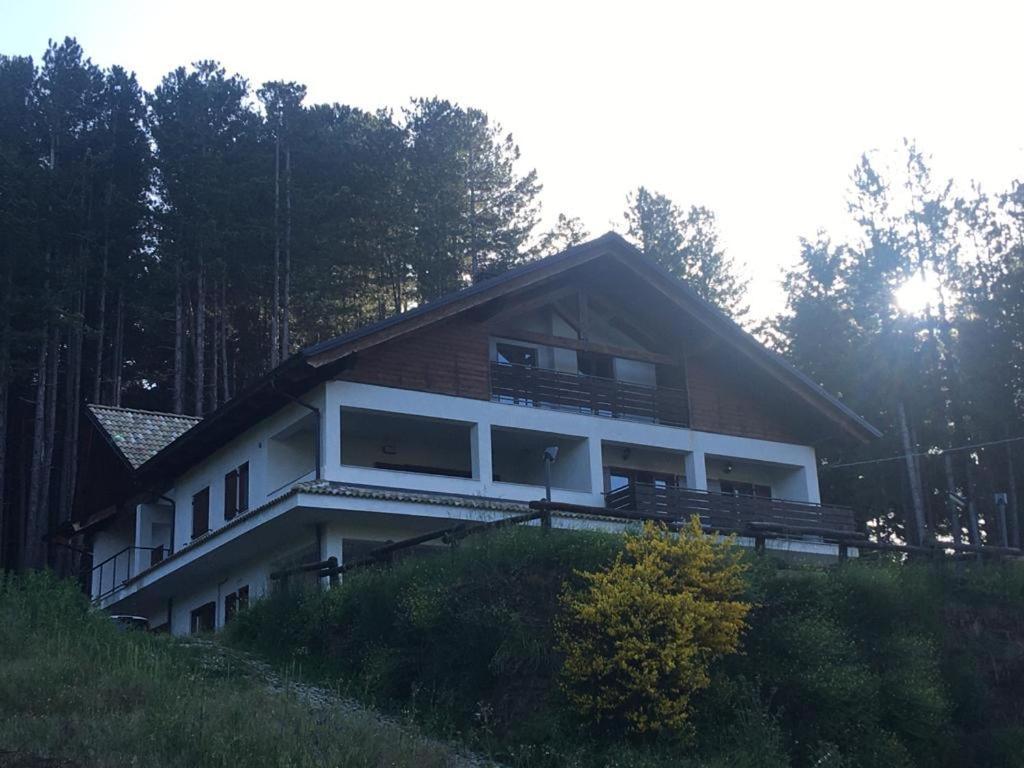Tra Il Bosco E Il Lorica