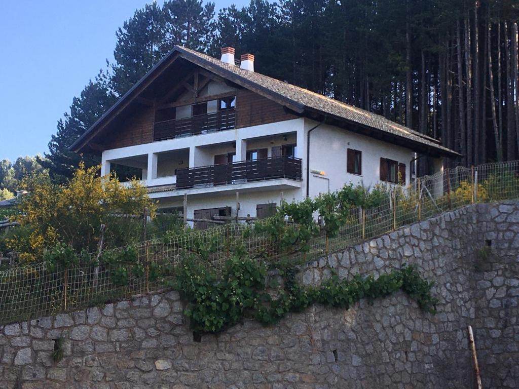 Tra Il Bosco E Il
