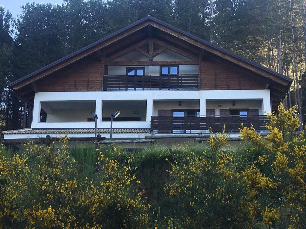 Tra Il Bosco E Il Lorica