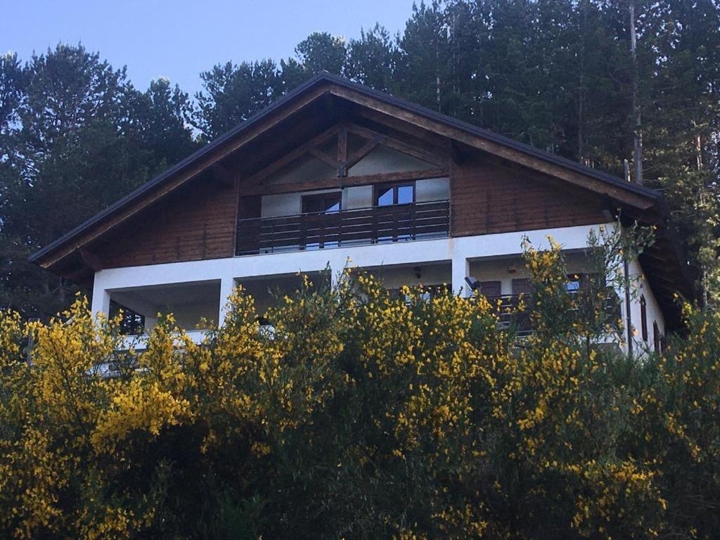 Tra Il Bosco E Il *